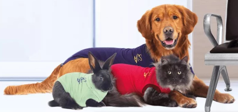 MPS Pet Shirts