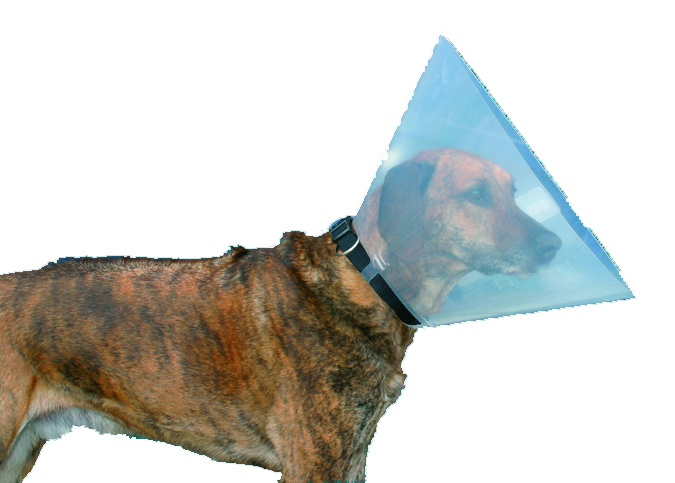 Hundehalskragen Matt Classic,   7,5 cm