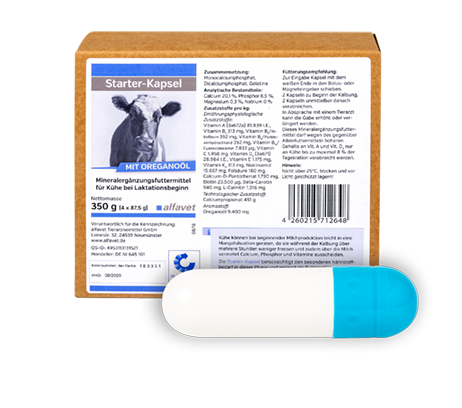 Starter-Kapsel 350 g (32 x 87,5 g), Kühe