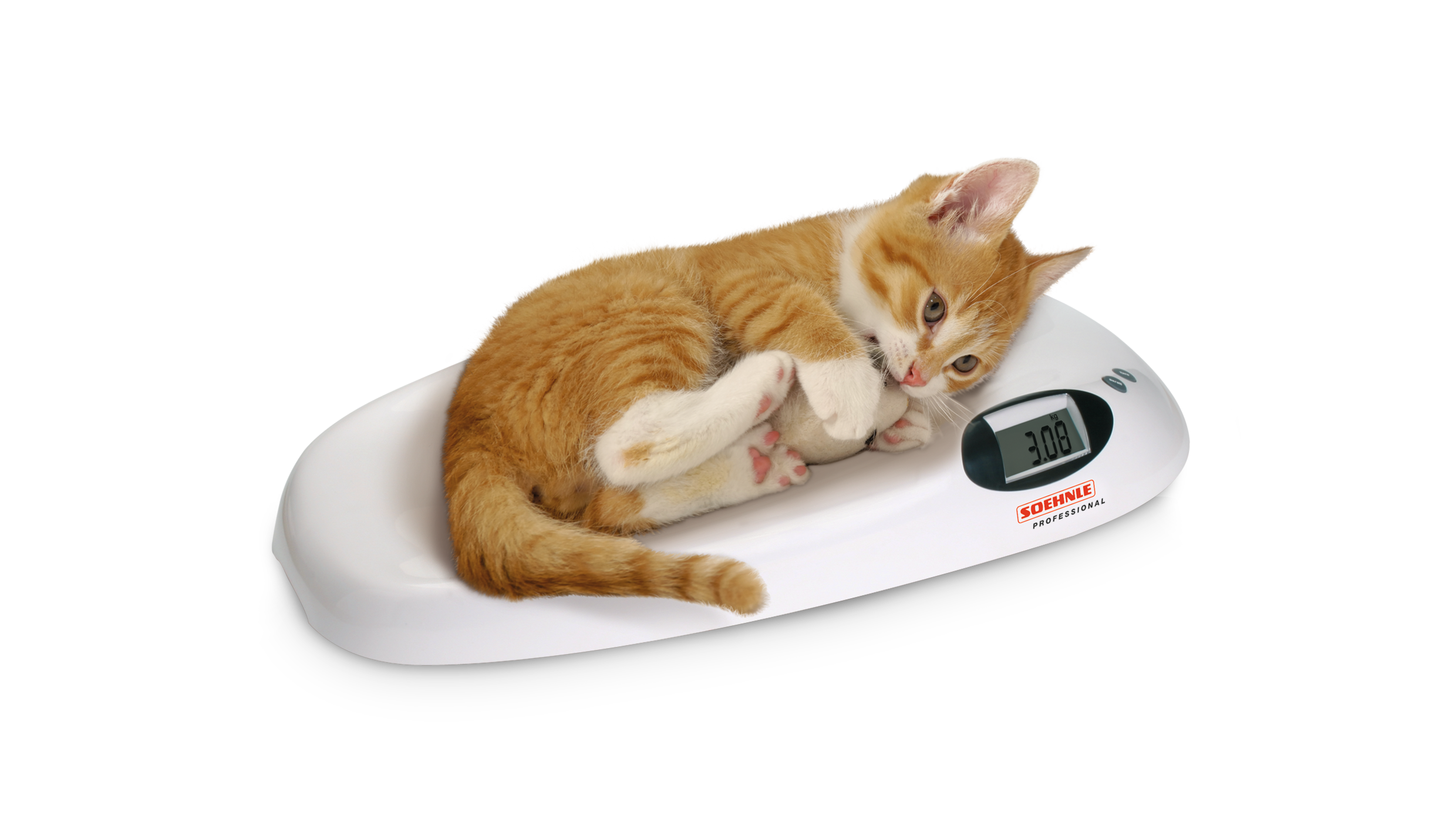 Tierwaage/SoehnleProfessional, bis 20kg