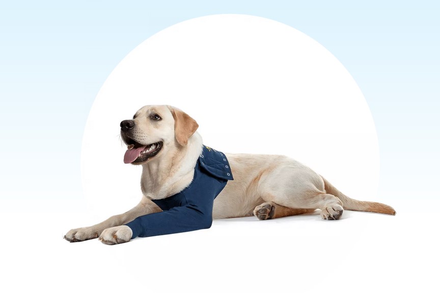 Front leg TAZ Gr. 3XS blau