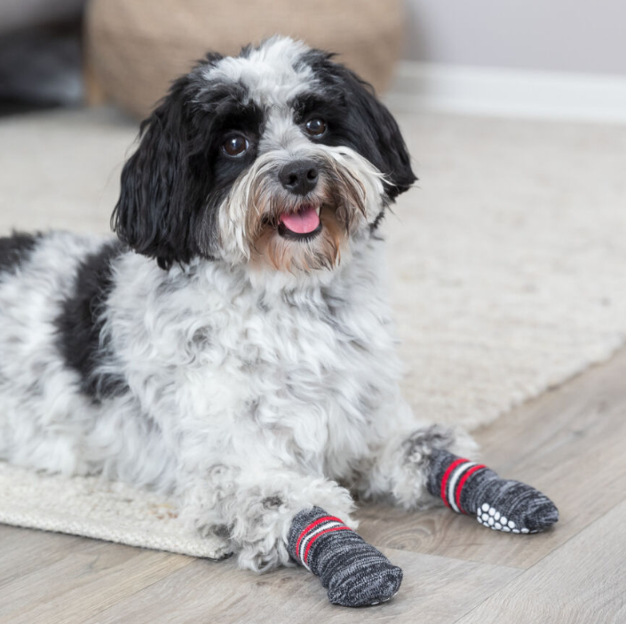 Hundesocken Antirutsch Gr. M-L