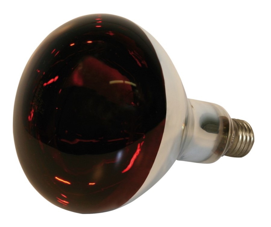 Kerbl Infrarot-Hartglaslampe 250W