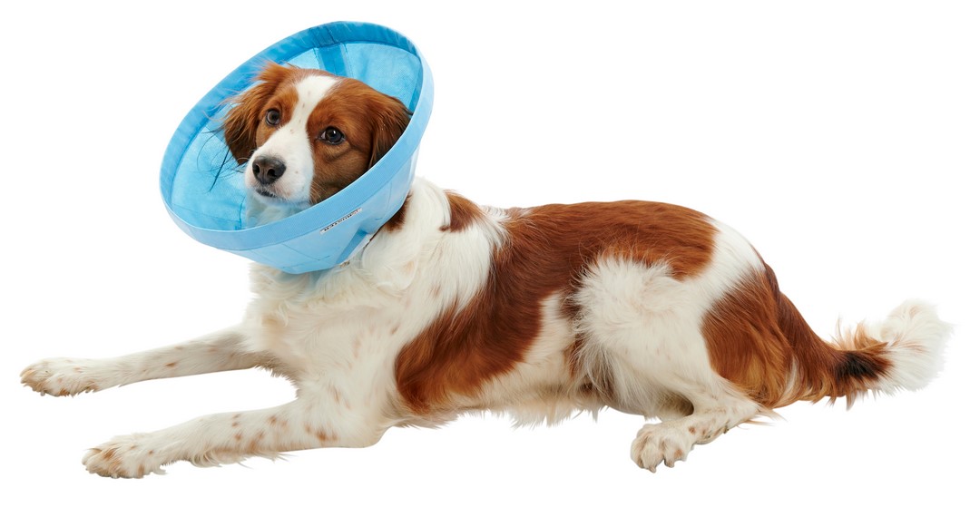 Buster Softflex Halskragen