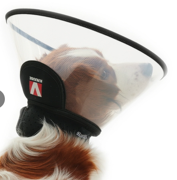 Buster Complete Halskragen