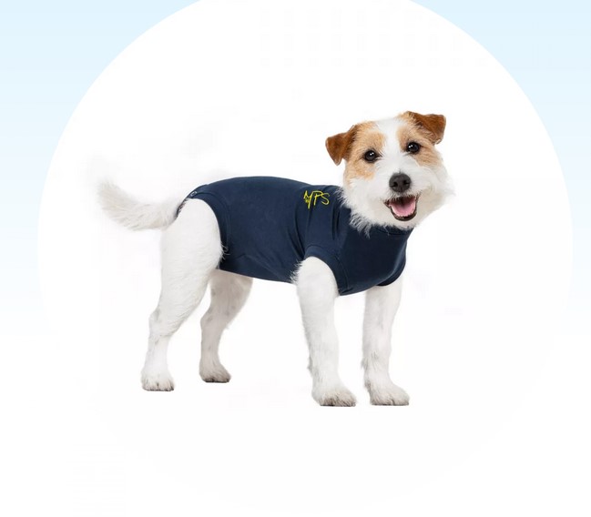 MPS Pet Shirt blau Hund Gr. 2XS