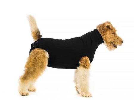 Recovery Suit Hund  -  Gr. M+