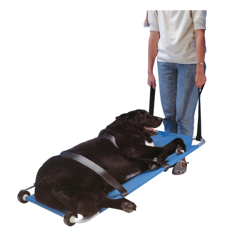 Hundetrage BUSTER blau, 120 x 52 cm