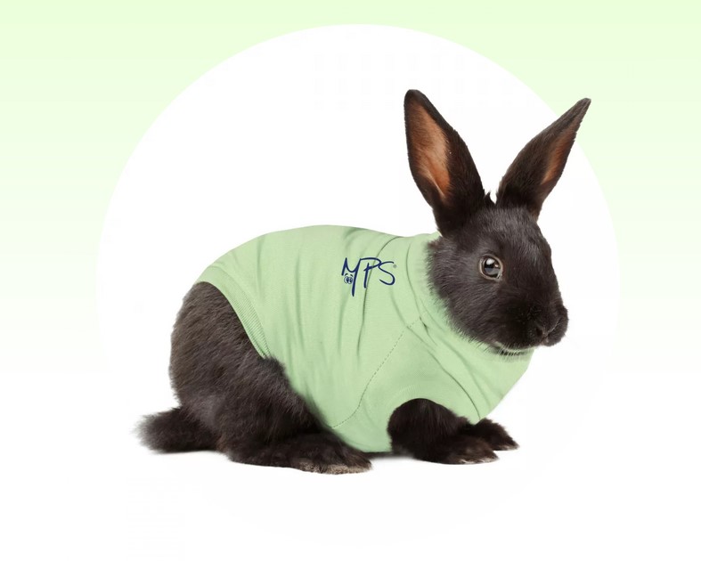 MPS Petshirt - Grün,  Hase - Gr. 3XS