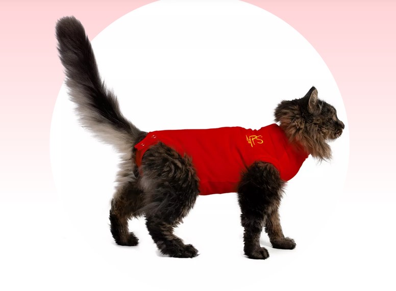 MPS Pet Shirt Katze rot Gr. S