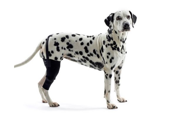 Kruuse Rehab Kniegelenkschutz M rechts