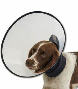 Buster PREMIUM Halskragen - Gr. S