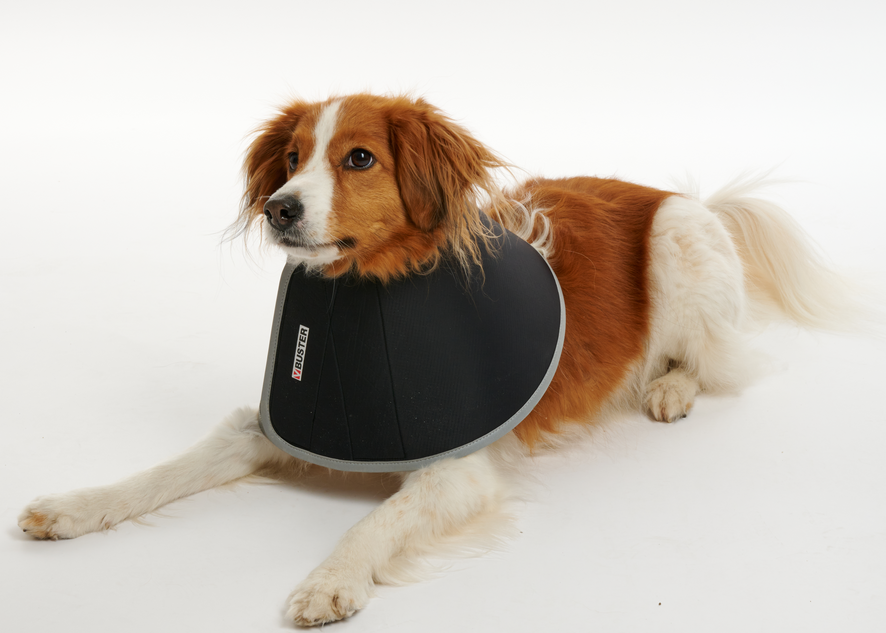 Buster Schaumkragen Gr. 30 cm