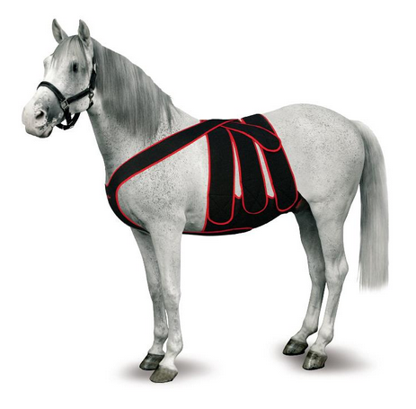 Pferde Post Kolik Chirugie-Set