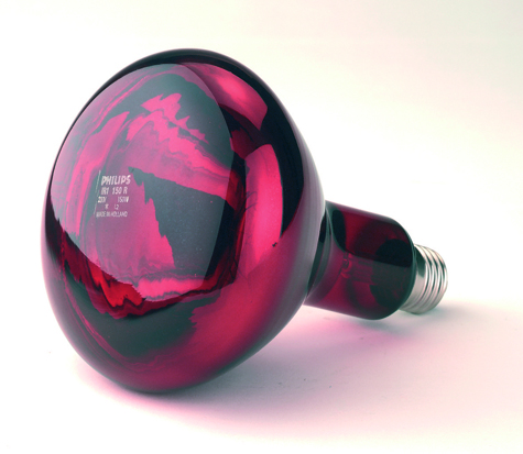 Infrarotlichtlampe 150 Watt - rot