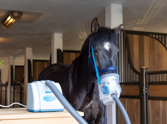 Ultraschall- Inhalator Set Netzbetrieb