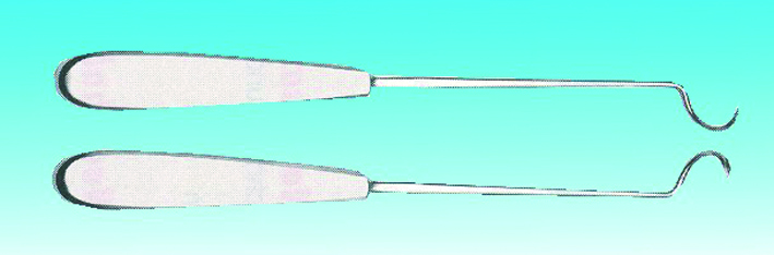 Deschamps rechts, scharf 22,0 cm