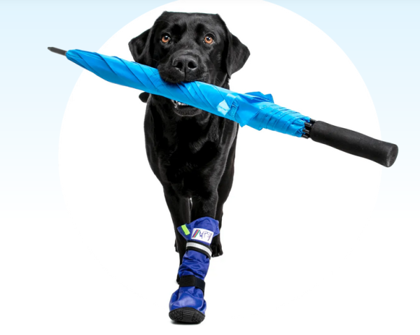 MPS Medical Pets Boot Hund Gr. XL