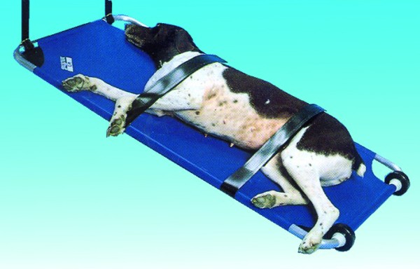 Hundetrage BUSTER blau, 120 x 52 cm