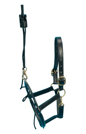 Equivet Dental-Halter für Pferde