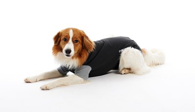 BodySuit Buster Hund - Gr. M - 46 cm